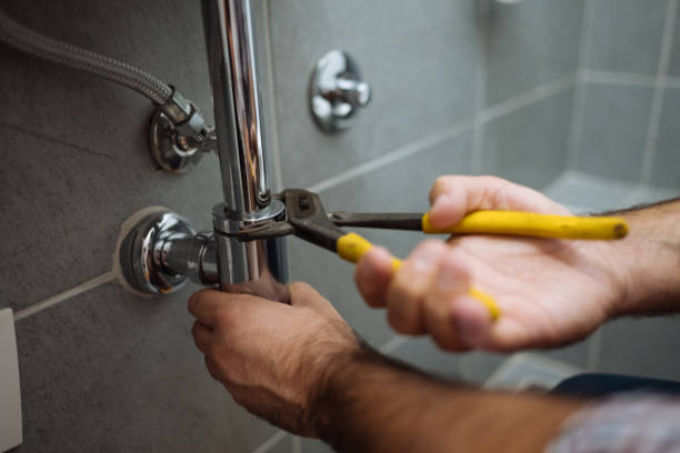 Best Shower Repair Services  in South Deerfield, MA